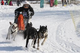 Lenk 2012 SM